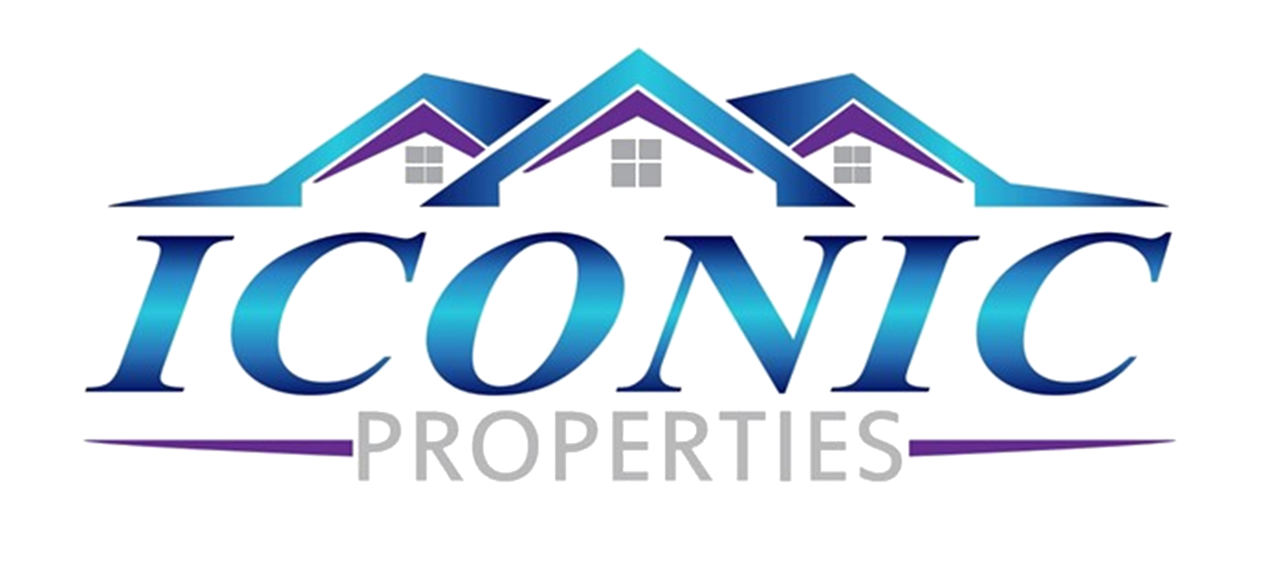 Iconic Properties LLC