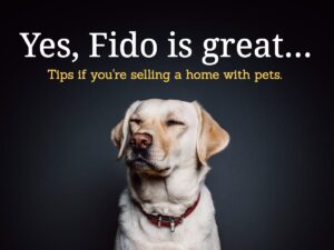 selling your home with pets