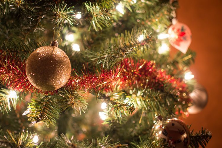 Christmas tree alterntives | Cash House Buyers