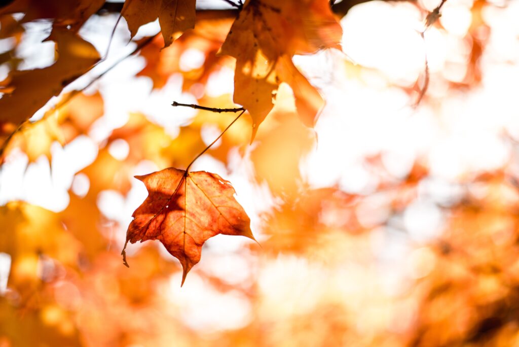 Fall Home Maintenance Tips | Cash Property Buyers Fort Worth