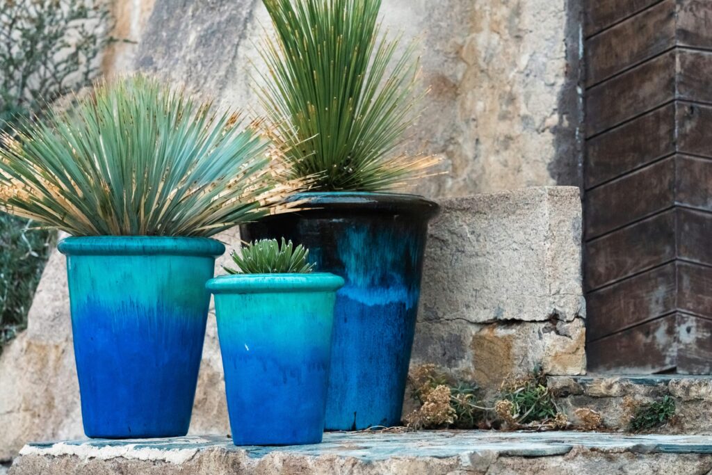 Plant Containers | Best Container Plants Dallas | Glazed Planters | Cash for Houses Dallas