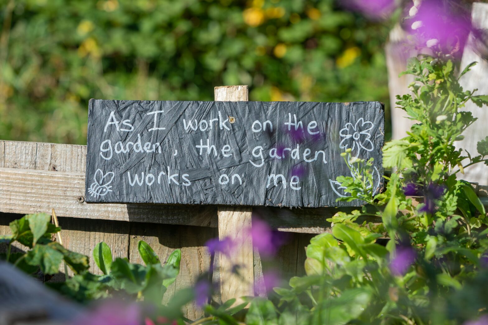 Gardening for Beginner's | Texas Gardnening Guide | Gardening Tips | Cash for Houses Agency DFW