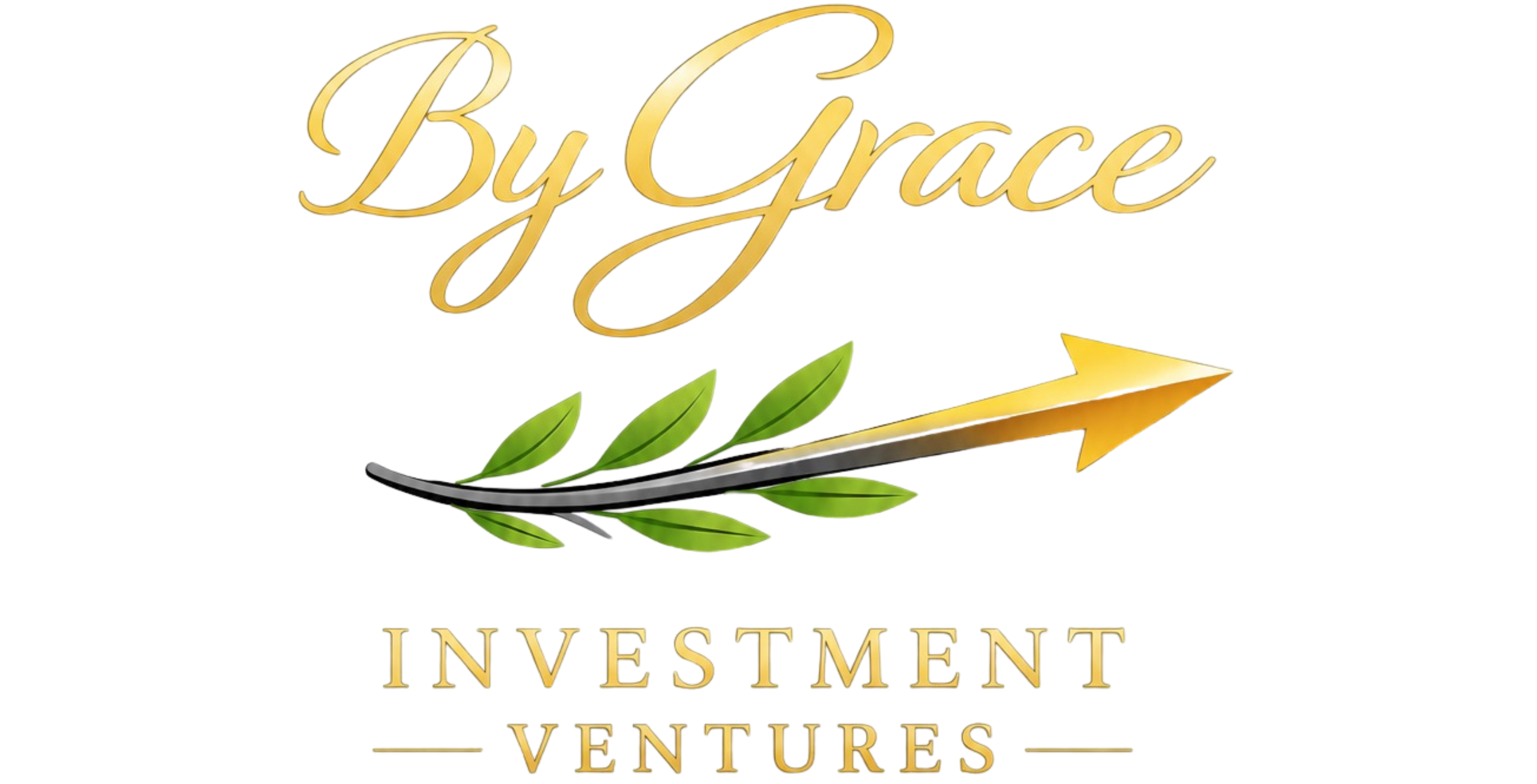 By Grace Investment Ventures